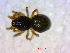  ( - BIOUG02613-H10)  @13 [ ] CreativeCommons - Attribution (2012) M. Alex Smith Centre for Biodiversity Genomics