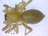  ( - BIOUG02680-A12)  @13 [ ] CreativeCommons - Attribution (2012) M. Alex Smith Centre for Biodiversity Genomics