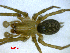  ( - BIOUG02680-G05)  @12 [ ] CreativeCommons - Attribution (2012) M. Alex Smith Centre for Biodiversity Genomics