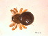  ( - BIOUG07490-A08)  @12 [ ] CreativeCommons - Attribution (2013) M. Alex Smith Centre for Biodiversity Genomics