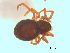  ( - BIOUG07490-B11)  @13 [ ] CreativeCommons - Attribution (2013) M. Alex Smith Centre for Biodiversity Genomics