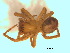  ( - BIOUG07490-C03)  @13 [ ] CreativeCommons - Attribution (2013) M. Alex Smith Centre for Biodiversity Genomics