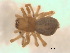  ( - BIOUG07490-D09)  @13 [ ] CreativeCommons - Attribution (2013) M. Alex Smith Centre for Biodiversity Genomics