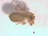  ( - BIOUG09324-A02)  @12 [ ] CreativeCommons - Attribution (2011) M. Alex Smith Centre for Biodiversity Genomics
