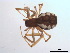  ( - BIOUG09324-A11)  @13 [ ] CreativeCommons - Attribution (2011) M. Alex Smith Centre for Biodiversity Genomics