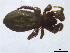  ( - BIOUG09324-F03)  @13 [ ] CreativeCommons - Attribution (2011) M. Alex Smith Centre for Biodiversity Genomics