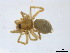  ( - BIOUG09324-G01)  @12 [ ] CreativeCommons - Attribution (2011) M. Alex Smith Centre for Biodiversity Genomics