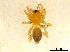 ( - BIOUG01027-F01)  @14 [ ] CreativeCommons - Attribution Non-Commercial Share-Alike (2015) M. Alex Smith Research Collection of M. Alex Smith