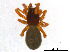  ( - BIOUG01027-H07)  @13 [ ] CreativeCommons - Attribution Non-Commercial Share-Alike (2015) M. Alex Smith Research Collection of M. Alex Smith