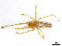 ( - BIOUG01027-H08)  @13 [ ] CreativeCommons - Attribution Non-Commercial Share-Alike (2015) M. Alex Smith Research Collection of M. Alex Smith