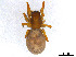  ( - BIOUG01027-H10)  @14 [ ] CreativeCommons - Attribution Non-Commercial Share-Alike (2015) M. Alex Smith Research Collection of M. Alex Smith