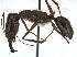  ( - CCDB-32045-A05)  @13 [ ] CreativeCommons  Attribution Non-Commercial Share-Alike (2018) M. Alex Smith University of Guelph