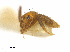  ( - CCDB-32045-A09)  @12 [ ] CreativeCommons  Attribution Non-Commercial Share-Alike (2018) M. Alex Smith University of Guelph