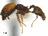  ( - CCDB-32045-B04)  @11 [ ] CreativeCommons  Attribution Non-Commercial Share-Alike (2018) M. Alex Smith University of Guelph