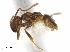  ( - CCDB-32045-B12)  @13 [ ] CreativeCommons  Attribution Non-Commercial Share-Alike (2018) M. Alex Smith University of Guelph