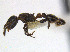  ( - CCDB-32045-C05)  @13 [ ] CreativeCommons  Attribution Non-Commercial Share-Alike (2018) M. Alex Smith University of Guelph