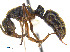  ( - CCDB-32045-C10)  @13 [ ] CreativeCommons  Attribution Non-Commercial Share-Alike (2018) M. Alex Smith University of Guelph