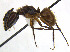  ( - CCDB-32045-E05)  @14 [ ] CreativeCommons  Attribution Non-Commercial Share-Alike (2018) M. Alex Smith University of Guelph