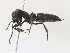  ( - CBG-A31776-A06)  @11 [ ] CreativeCommons - Attribution Share - Alike (2024) CBG Photography Group Centre for Biodiversity Genomics