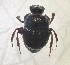  ( - EDAFASA-P4-E7-COL30.234)  @11 [ ] Copyright (2023) Instituto de Investigacion Alexander von Humboldt (IAvH) Insitituto de Investigacion de Recursos Biologicos Alexander von Humboldt