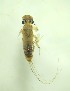  ( - MIAASA-CNP3-E6-EPH350.1)  @11 [ ] Copyright (c) (2023) Daryl A. Valderrama-Gomez Instituto de Investigacion Alexander von Humboldt (IAvH)