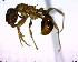  ( - BIOUG02018-C02)  @13 [ ] CreativeCommons - Attribution (2011) M. Alex Smith Centre for Biodiversity Genomics