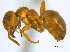  ( - BIOUG06760-A12)  @14 [ ] CreativeCommons - Attribution (2011) Unspecified Centre for Biodiversity Genomics