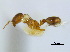  ( - BIOUG06760-B09)  @11 [ ] CreativeCommons - Attribution (2011) Unspecified Centre for Biodiversity Genomics