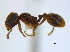  ( - BIOUG06760-B11)  @14 [ ] CreativeCommons - Attribution (2011) Unspecified Centre for Biodiversity Genomics