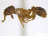  ( - BIOUG06760-C03)  @13 [ ] CreativeCommons - Attribution (2011) Unspecified Centre for Biodiversity Genomics