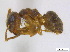  ( - BIOUG06760-C11)  @14 [ ] CreativeCommons - Attribution (2011) Unspecified Centre for Biodiversity Genomics