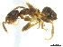  ( - BIOUG06760-D11)  @14 [ ] CreativeCommons - Attribution (2011) Unspecified Centre for Biodiversity Genomics