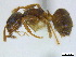  ( - BIOUG06760-F01)  @14 [ ] CreativeCommons - Attribution (2011) Unspecified Centre for Biodiversity Genomics