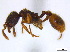  ( - BIOUG06760-F06)  @14 [ ] CreativeCommons - Attribution (2011) Unspecified Centre for Biodiversity Genomics