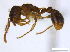  ( - BIOUG06760-G05)  @14 [ ] CreativeCommons - Attribution (2011) Unspecified Centre for Biodiversity Genomics