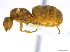  ( - BIOUG06760-G06)  @13 [ ] CreativeCommons - Attribution (2011) Unspecified Centre for Biodiversity Genomics