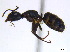  ( - BIOUG06760-G09)  @12 [ ] CreativeCommons - Attribution (2011) Unspecified Centre for Biodiversity Genomics