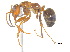  ( - BIOUG07487-A10)  @11 [ ] CreativeCommons - Attribution (2011) Unspecified Centre for Biodiversity Genomics