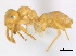  ( - BIOUG07487-B04)  @14 [ ] CreativeCommons - Attribution (2011) Unspecified Centre for Biodiversity Genomics