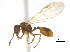  ( - BIOUG07487-C01)  @14 [ ] CreativeCommons - Attribution (2011) Unspecified Centre for Biodiversity Genomics