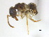  ( - BIOUG07487-C04)  @14 [ ] CreativeCommons - Attribution (2011) Unspecified Centre for Biodiversity Genomics