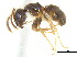  ( - BIOUG07487-C08)  @14 [ ] CreativeCommons - Attribution (2011) Unspecified Centre for Biodiversity Genomics