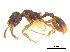  ( - BIOUG07487-C09)  @13 [ ] CreativeCommons - Attribution (2011) Unspecified Centre for Biodiversity Genomics