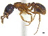  ( - BIOUG07487-D03)  @13 [ ] CreativeCommons - Attribution (2011) Unspecified Centre for Biodiversity Genomics