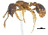  ( - BIOUG07487-D06)  @13 [ ] CreativeCommons - Attribution (2011) Unspecified Centre for Biodiversity Genomics