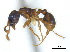  ( - BIOUG07487-D12)  @13 [ ] CreativeCommons - Attribution (2011) Unspecified Centre for Biodiversity Genomics