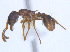  ( - BIOUG07487-E08)  @13 [ ] CreativeCommons - Attribution (2011) Unspecified Centre for Biodiversity Genomics