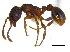  ( - BIOUG07487-G03)  @15 [ ] CreativeCommons - Attribution (2011) Unspecified Centre for Biodiversity Genomics