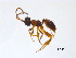  ( - BIOUG09328-D12)  @13 [ ] CreativeCommons - Attribution (2011) M. Alex Smith Centre for Biodiversity Genomics