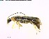  ( - BIOUG03198-D05)  @13 [ ] CreativeCommons - Attribution (2011) M. Alex Smith Centre for Biodiversity Genomics